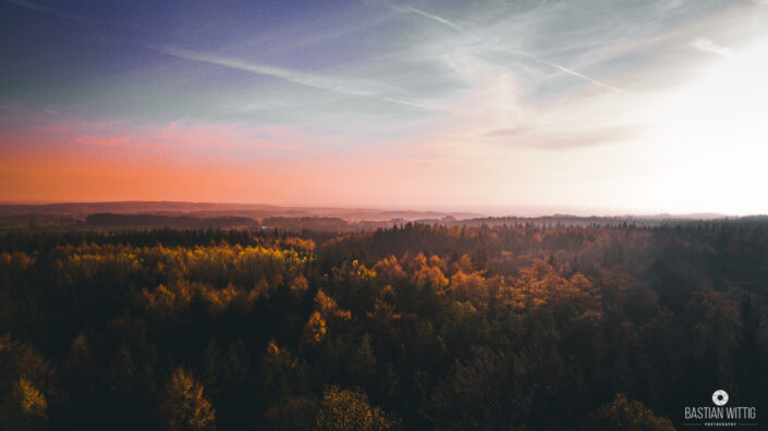 Brekendorfer Forst | Sunset (©Bastian Wittig)